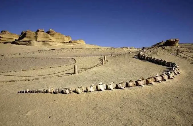 Wadi Al-Hitan